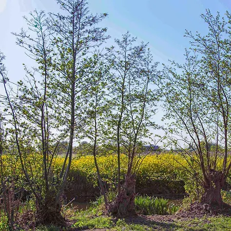 Hébergement de vacances Awesome In With Wifi