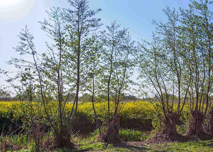 Tatil Evi Awesome In With Wifi